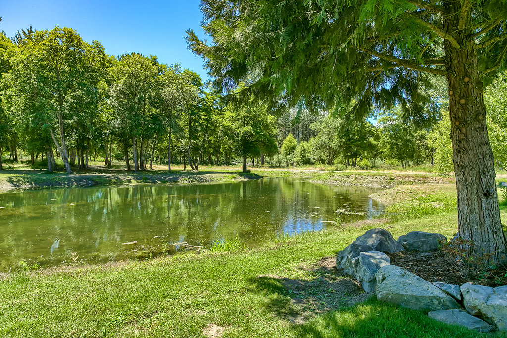 Large Private Pond